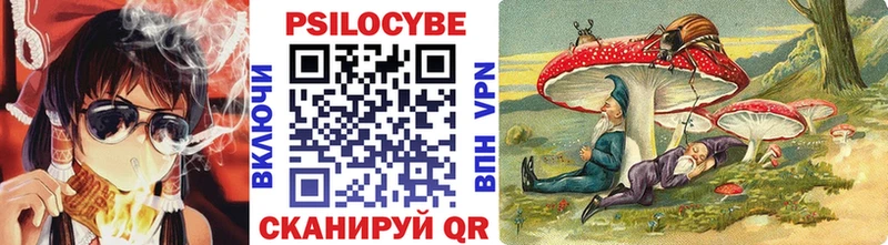 Купить  Темрюк  Псилоцибиновые грибы GOLDEN TEACHER 